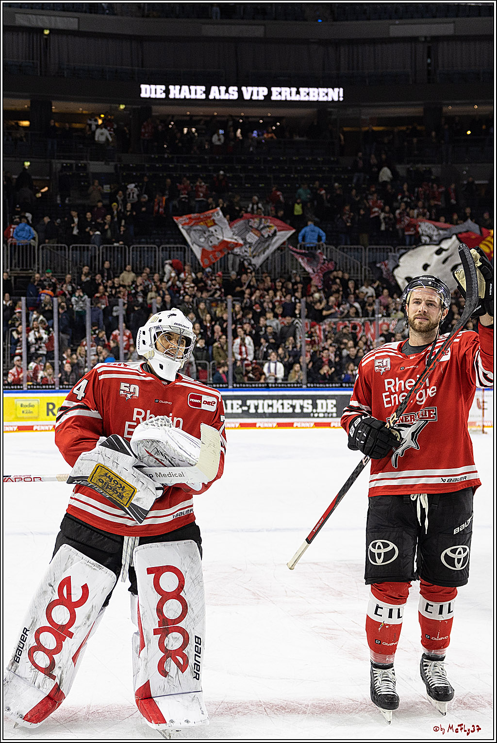 PENNY DEL;  Kölner Haie - Augsburger Panther; Köln, 20.12.2022